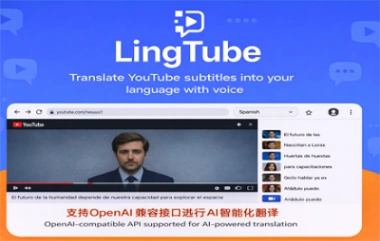 LingTube 